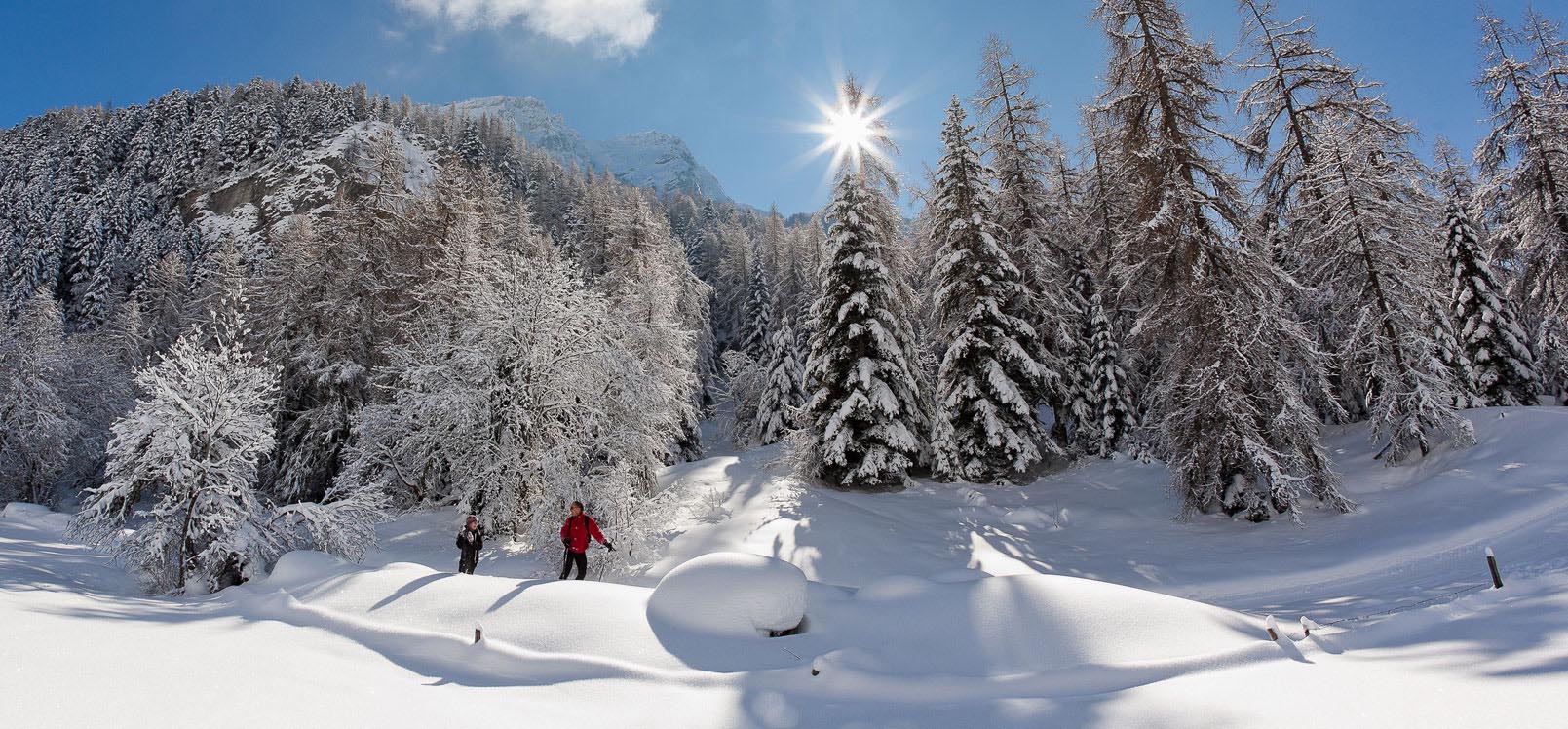 Ski de fond dans les Hautes-Alpes