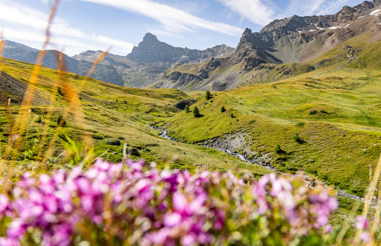 Paesaggio del Queyras in estate, vista sul capo Toillies